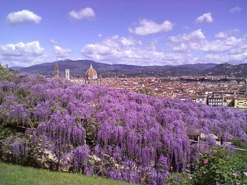 Soggiorno Alessandra Florencia Exterior foto